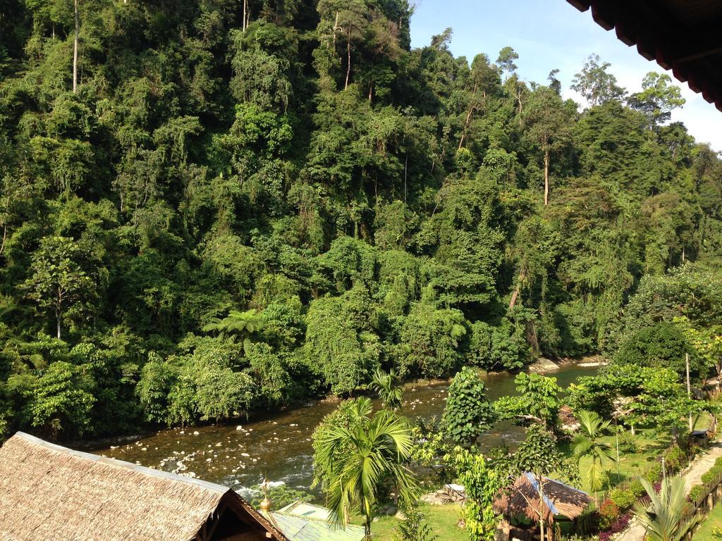 Riverside Guesthouse Bukit Lawang Exterior foto